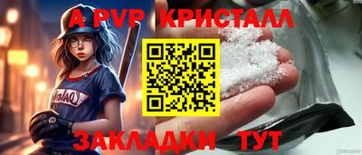 шишки Тара