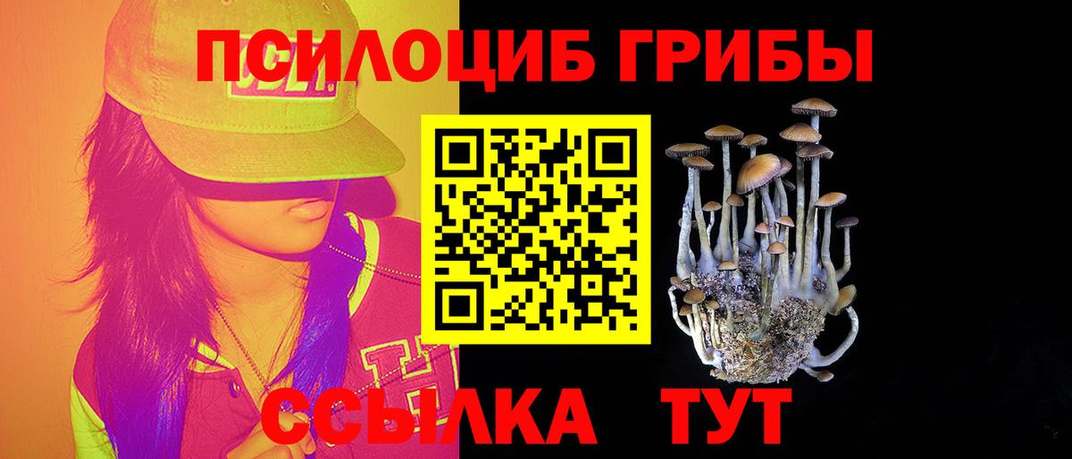 Нальчик  Галлюциногенные грибы Psilocybe  Вход с VPN 